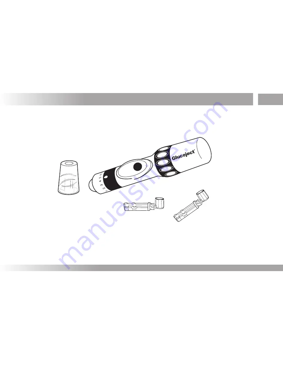 A. Menarini Diagnostics Glucomen LX PLUS User Manual Download Page 19