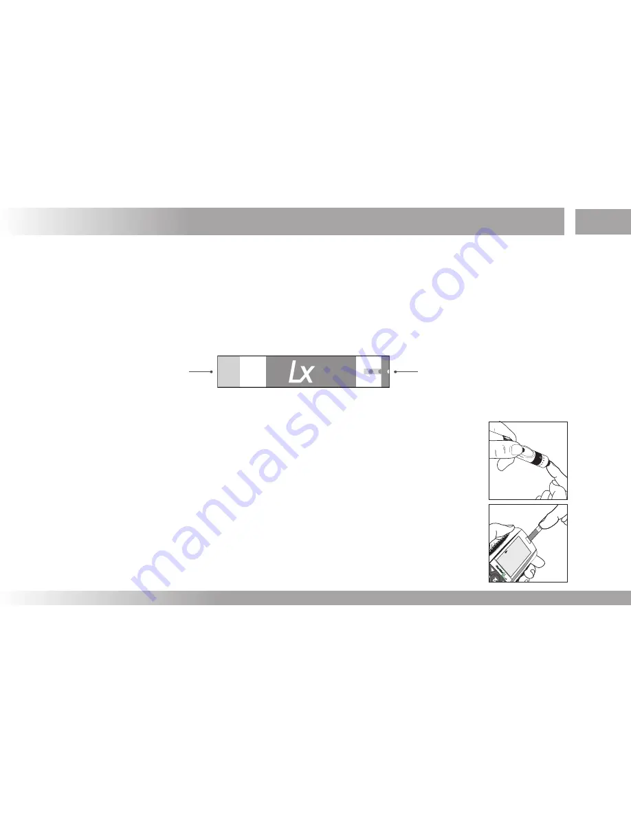 A. Menarini Diagnostics Glucomen LX PLUS Скачать руководство пользователя страница 29