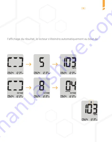 A.MENARINI GlucoMen Day METER 2K Скачать руководство пользователя страница 260