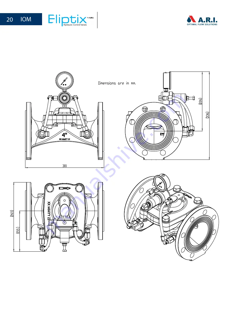 A.R.I. Eliptix R-30 R 2W Скачать руководство пользователя страница 20