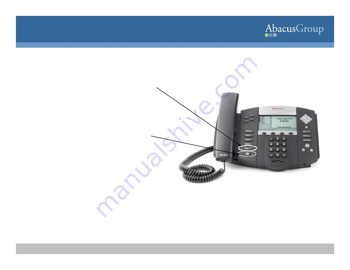 ABACUS Polycom IP550 Скачать руководство пользователя страница 18