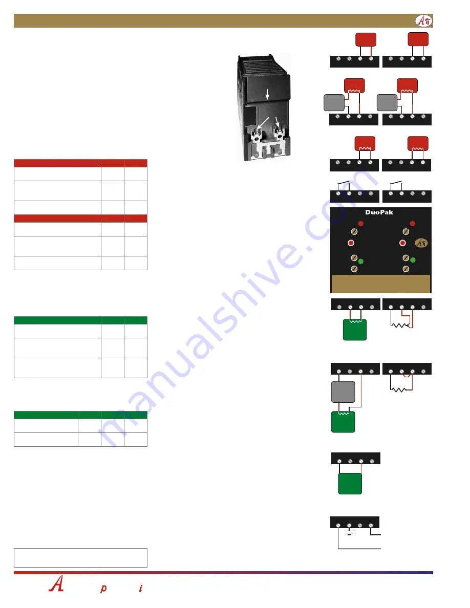 Absolute Process Instruments DuoPak APD 2001 Manual Download Page 2