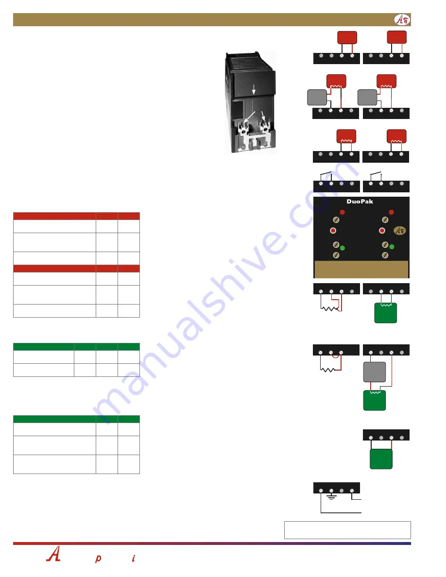 Absolute Process Instruments DuoPak APD 2010 Скачать руководство пользователя страница 2