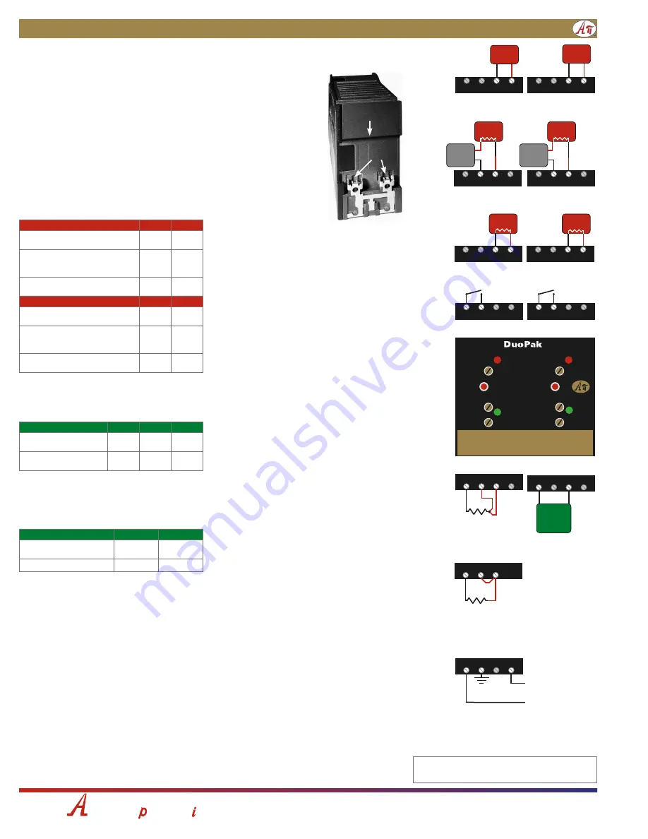 Absolute Process Instruments DuoPak APD 2016 Скачать руководство пользователя страница 2