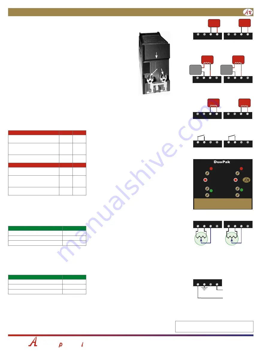 Absolute Process Instruments DuoPak APD 2033 Скачать руководство пользователя страница 2