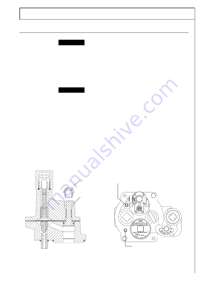 Accu-Flo Meter Service Red Jacket AGUMP150S1 Installation, Operation, Service & Repair Parts Download Page 26