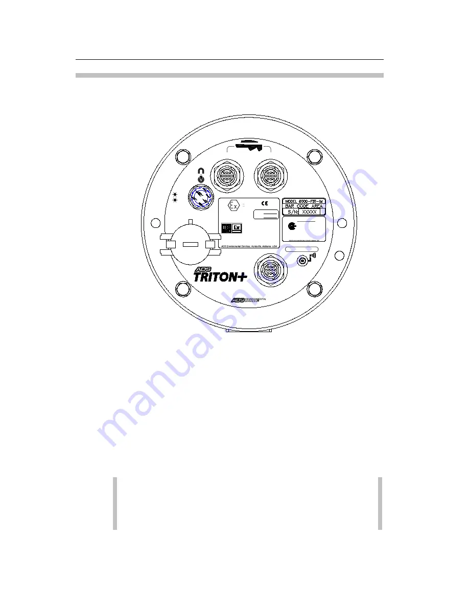 ADS Intrinsically-Safe TRITON+ Скачать руководство пользователя страница 44