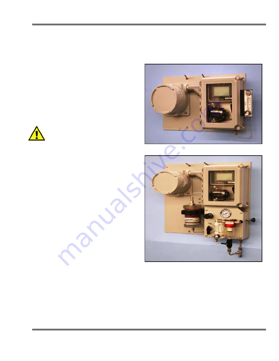 Advanced Instruments GPR-2800 IS Скачать руководство пользователя страница 16