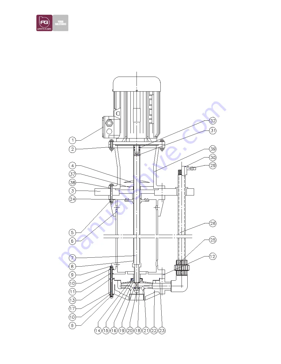 Affetti Pumps CGV-L Скачать руководство пользователя страница 18