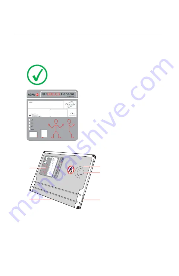 AGFA CR DD1.0 Vet User Manual Download Page 27