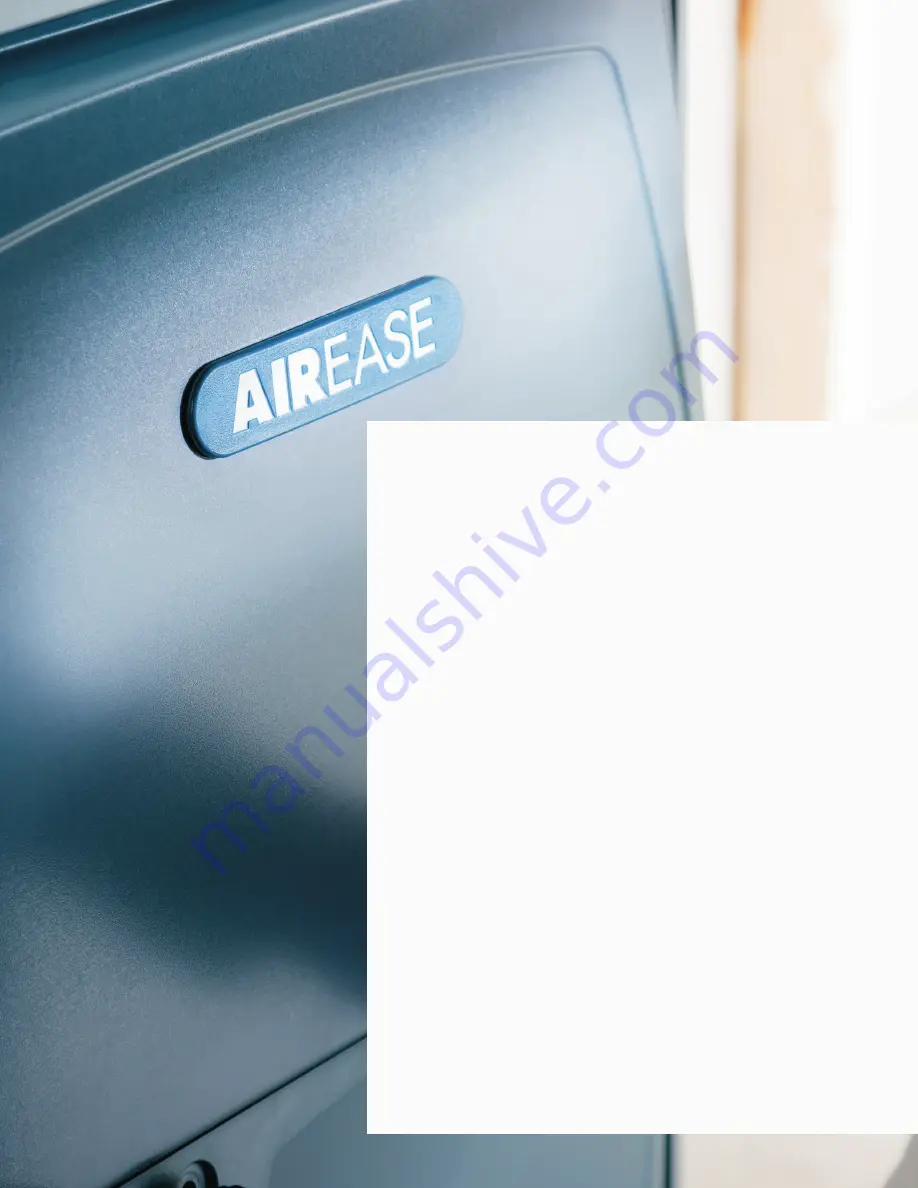 Airease 90+ AFUE Manual Download Page 2