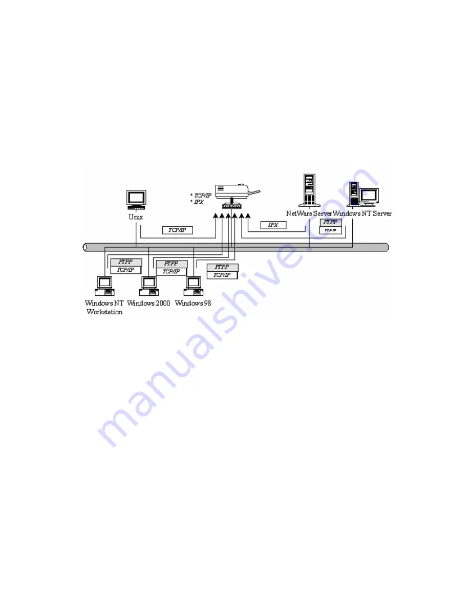 AirLive P-203N User Manual Download Page 12