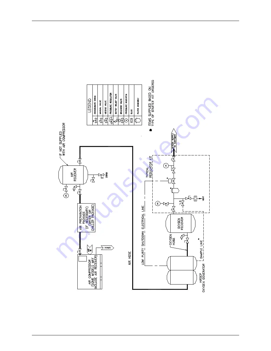 AirSep AS-E Instruction Manual Download Page 66