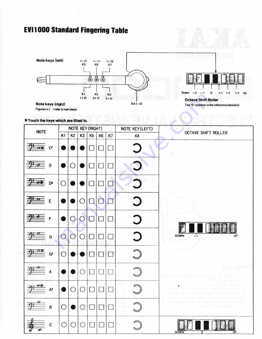 Akai EVI1000 Скачать руководство пользователя страница 2