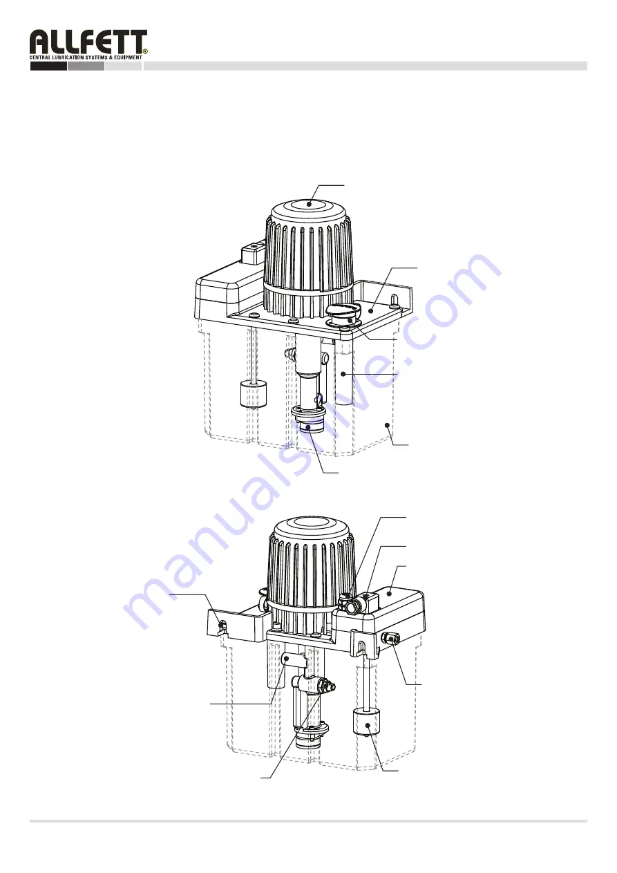 Allfett LUBMATIC Series Скачать руководство пользователя страница 6
