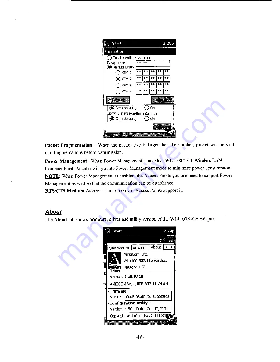 AmbiCom WL1100B-CF User Manual Download Page 19