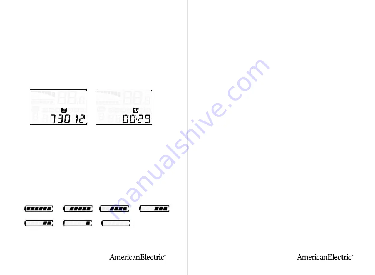 AmericanElectric STELLER Manual Download Page 16