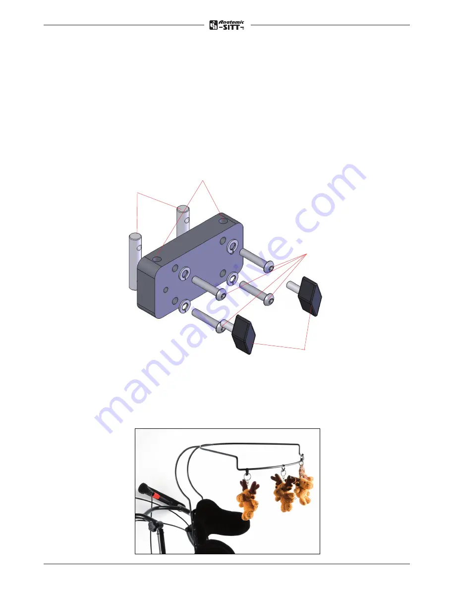 Anatomic SITT Zitzi Delfi Pro User Manual Download Page 39