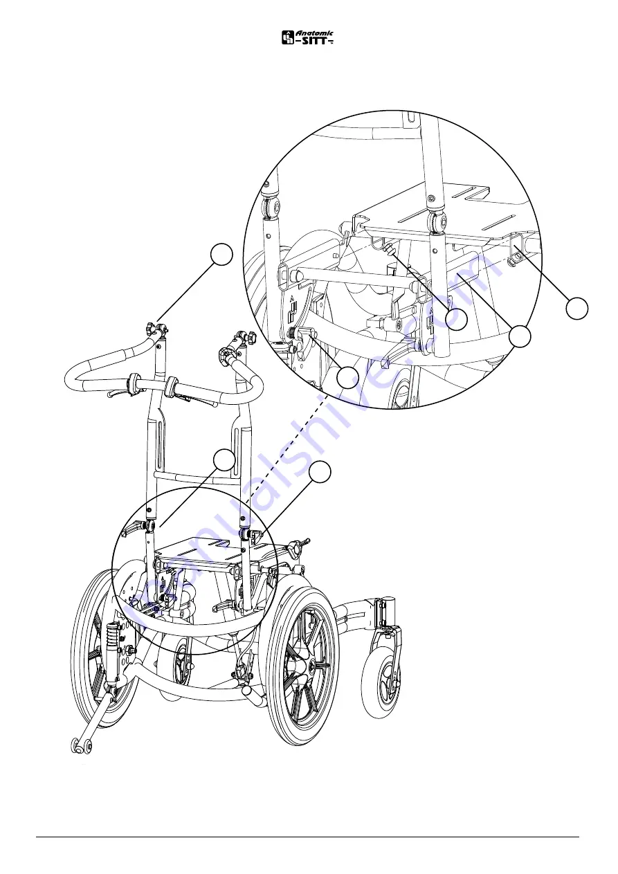 Anatomic SITT Zitzi Seabass Pro User Manual Download Page 17