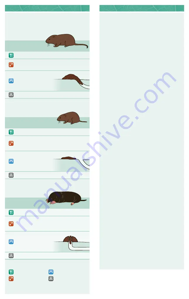 Andermatt Biocontrol topcat Instructions For Use Download Page 5