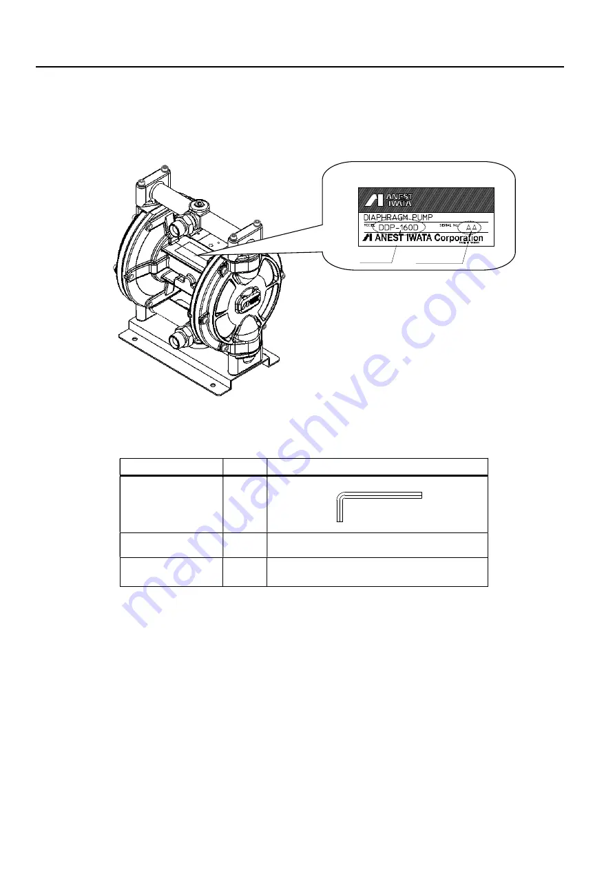 Anest Iwata DDP-160D Instruction Manual Download Page 24