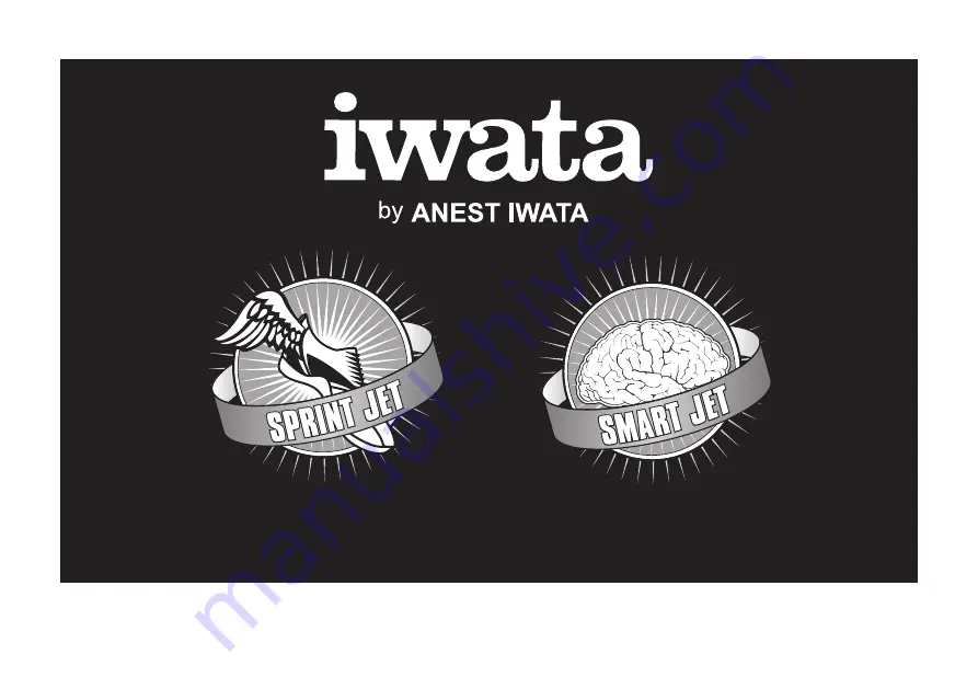 Anest Iwata IS800 Operating Instructions Manual Download Page 28