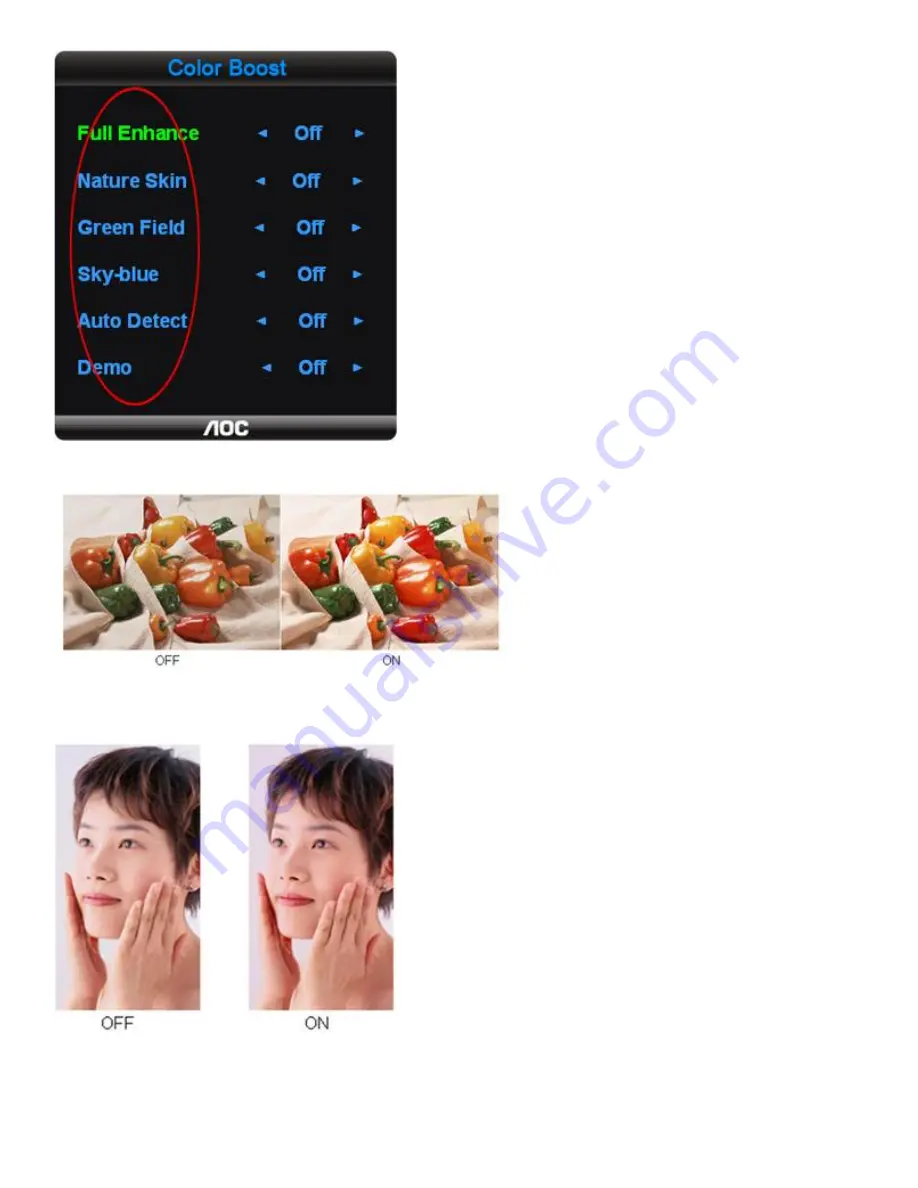 AOC 831S User Manual Download Page 8