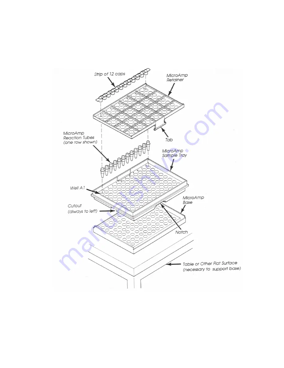 Applied Biosystems GeneAmp PCR System 9600 Скачать руководство пользователя страница 170