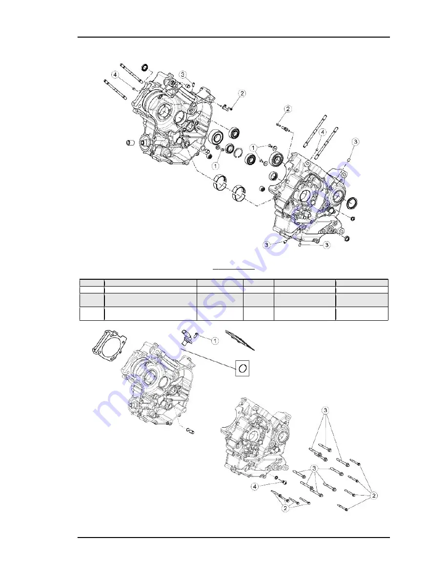 APRILIA DORSODURO FACTORY ABS 2011 Скачать руководство пользователя страница 51