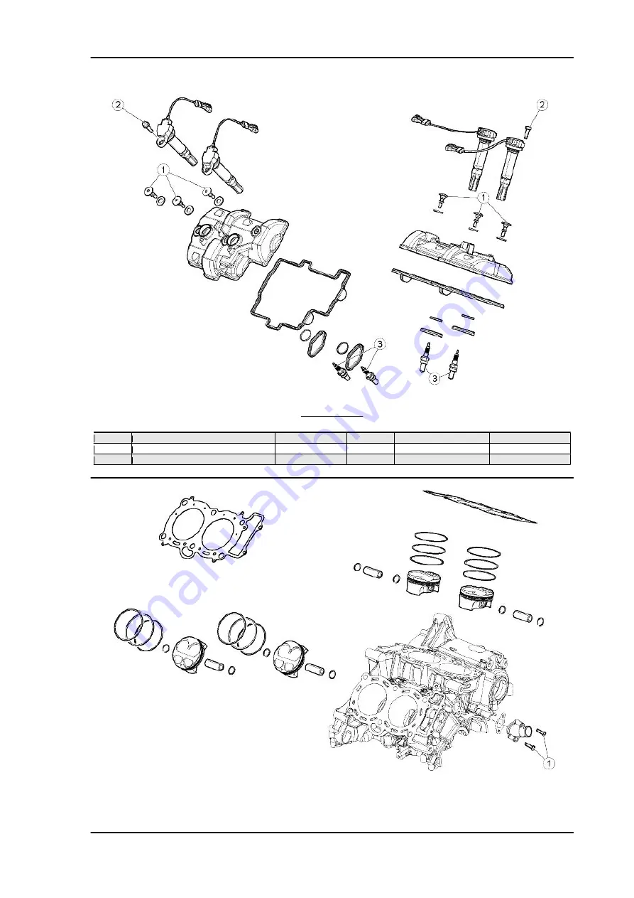 APRILIA TUONO V4 R 2010 Service Station Manual Download Page 41