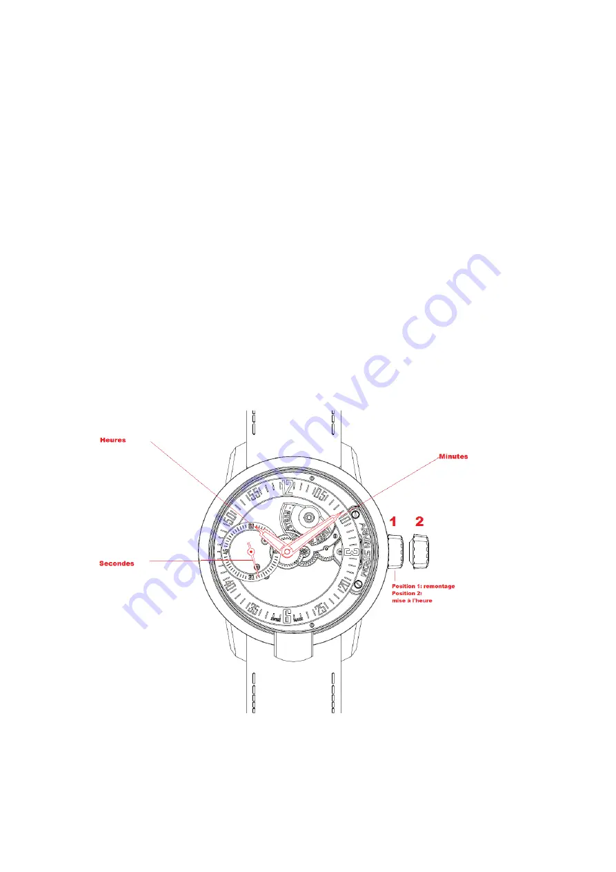 Armin Strom AMW11 Manual Download Page 1