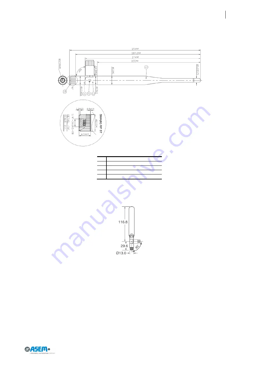 ASEM BM1 Series User Manual Download Page 101