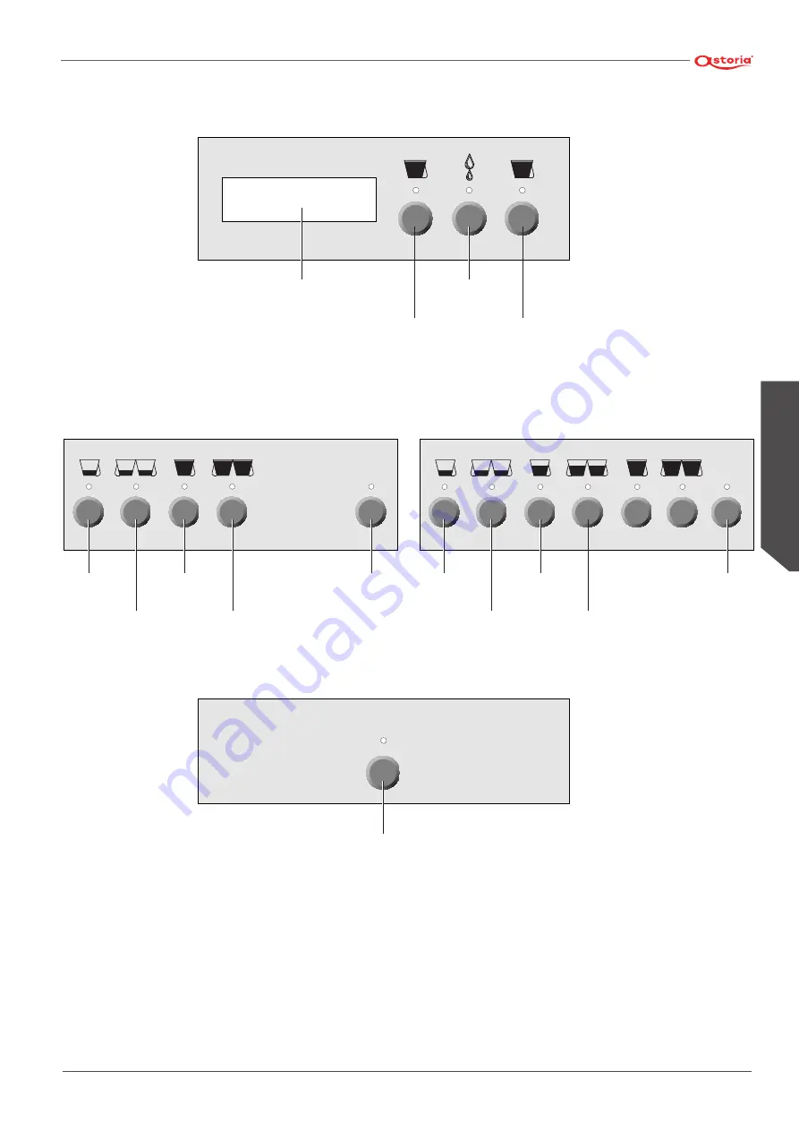 Astoria AEP Use And Maintenance Manual, Instructions For The User Download Page 87