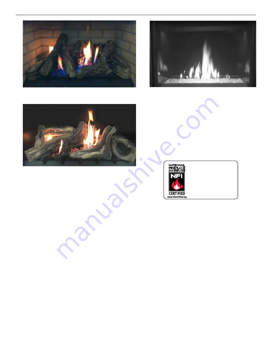 Astria Fireplaces Scorpio Series Installation And Operation Instructions Manual Download Page 4