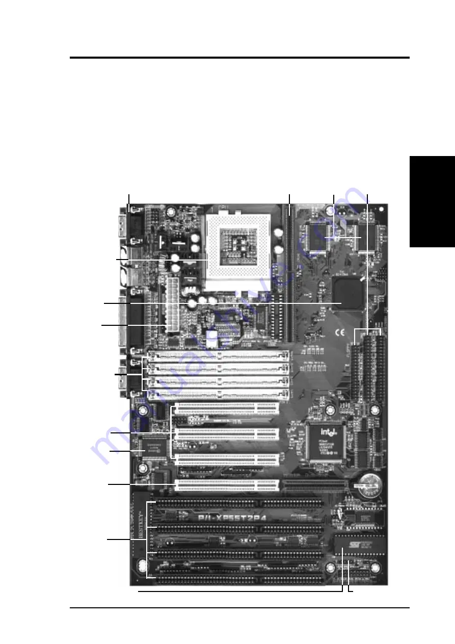 Asus P/I-XP55T2P4 User Manual Download Page 9