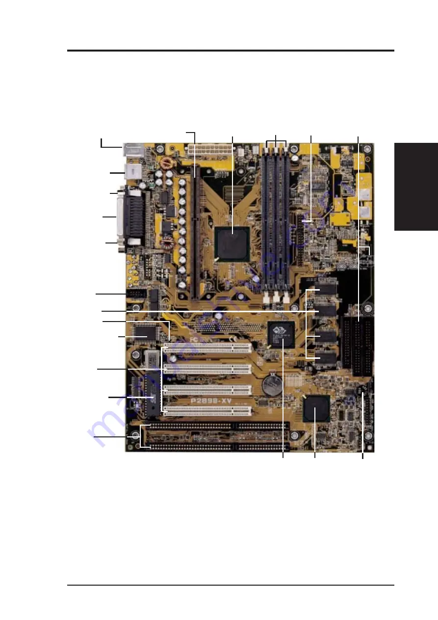 Asus P2B98-XV User Manual Download Page 9