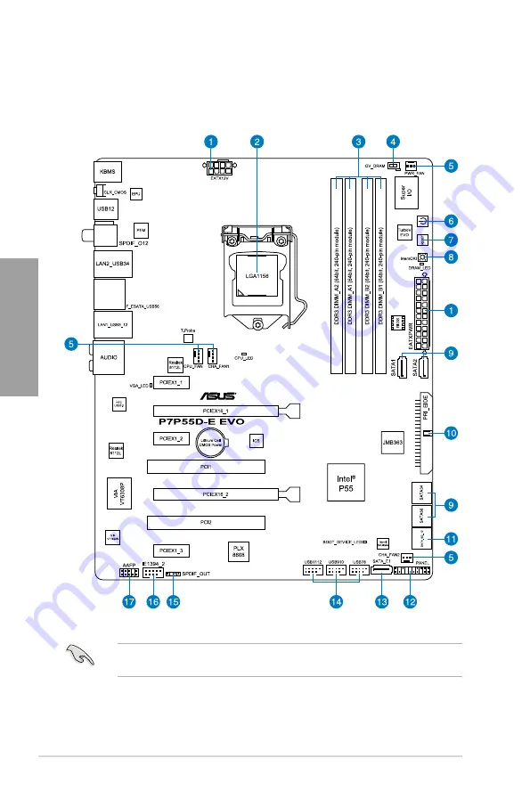 Asus P7P55D-E EVO User Manual Download Page 20