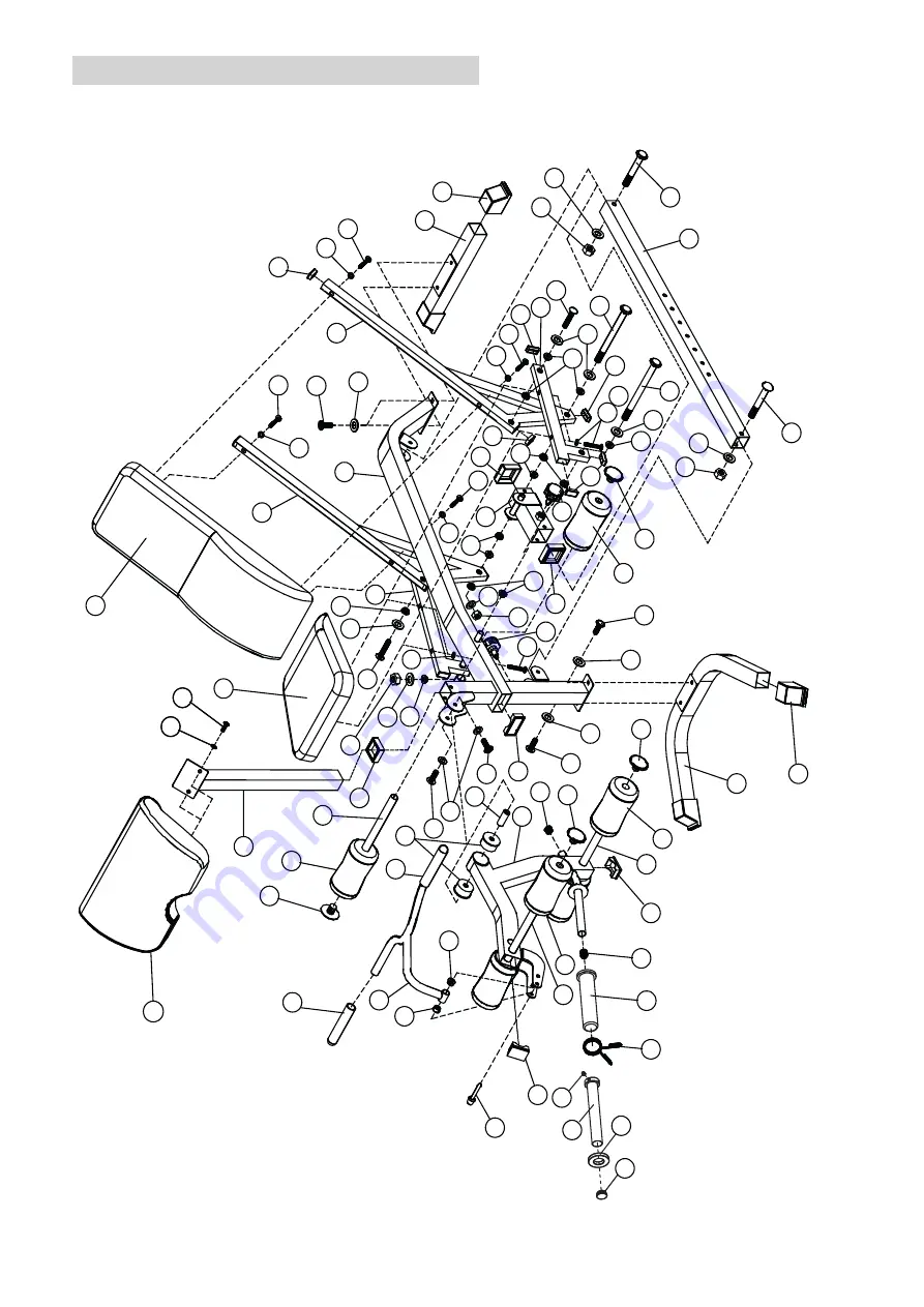 AsVIVA MS2 Manual Download Page 8