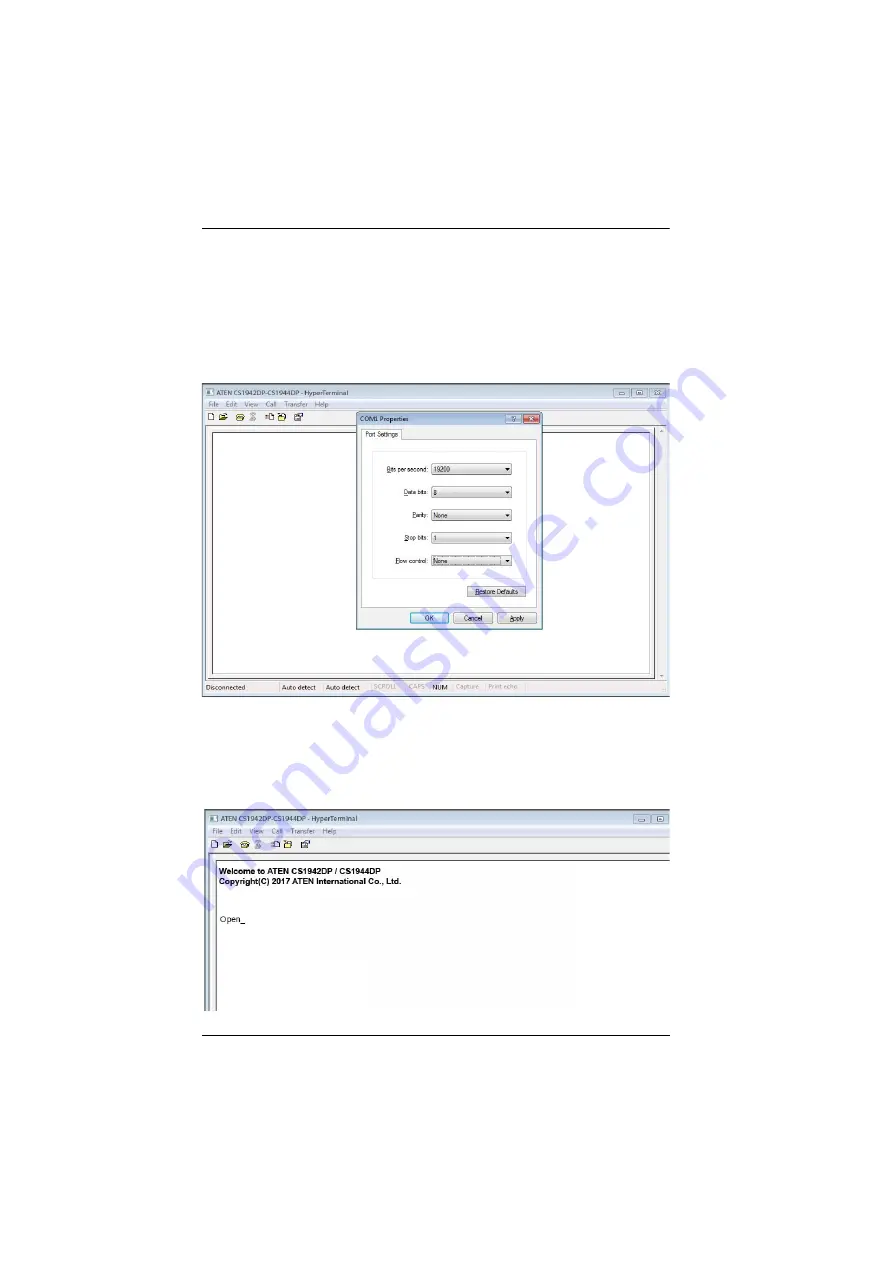 ATEN CS1942DP User Manual Download Page 4