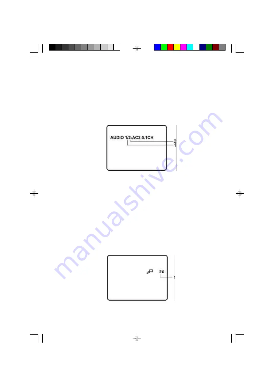 Audiovox VBP3900 Скачать руководство пользователя страница 17