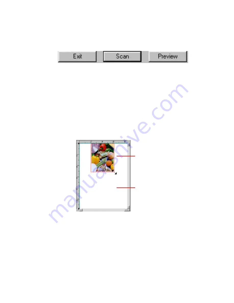 Avision AV810CPlus User Manual Download Page 51