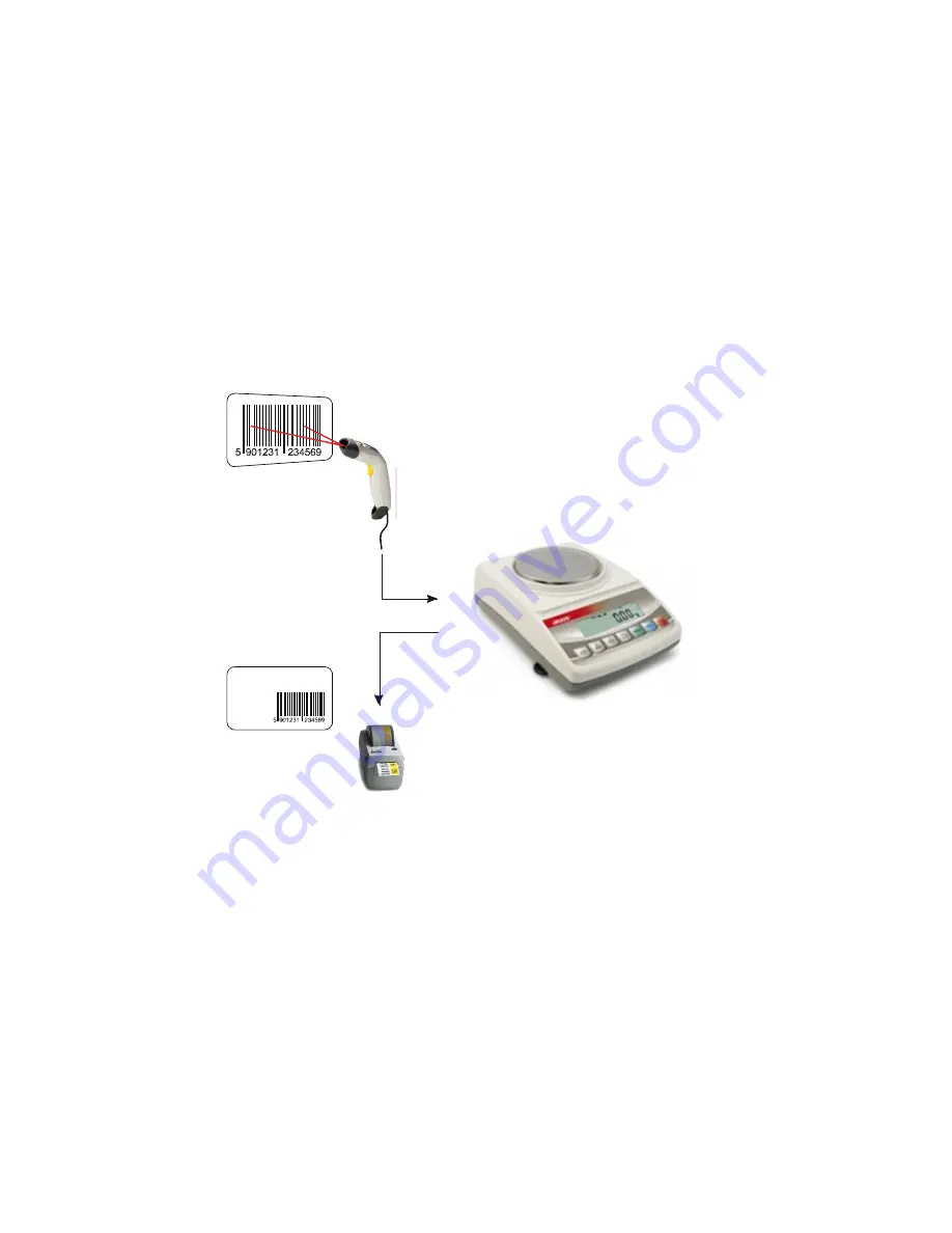 Axis ATA1200 User Manual Download Page 40