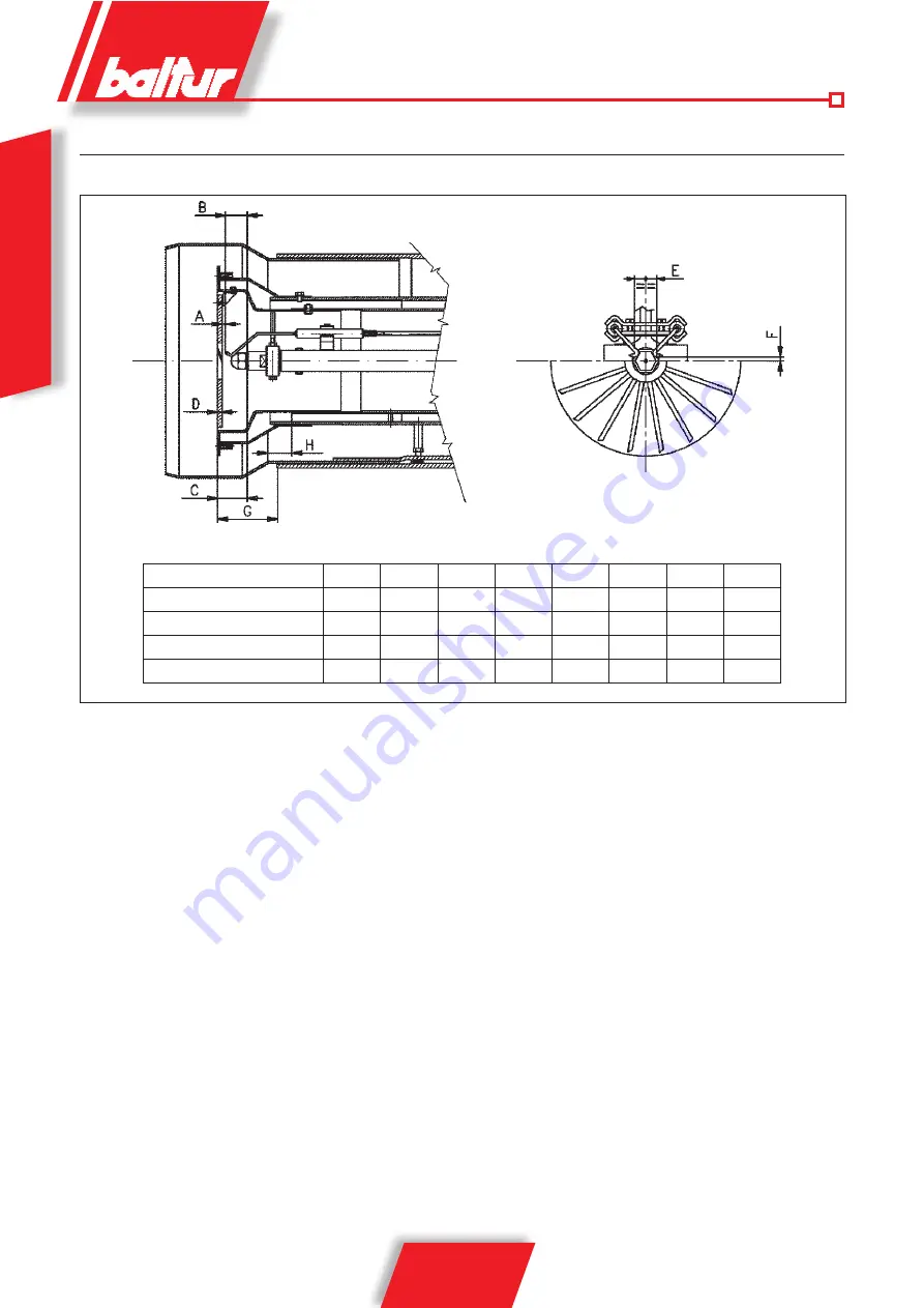 baltur COMIST 180 DSPNM User Instruction Manual Download Page 20