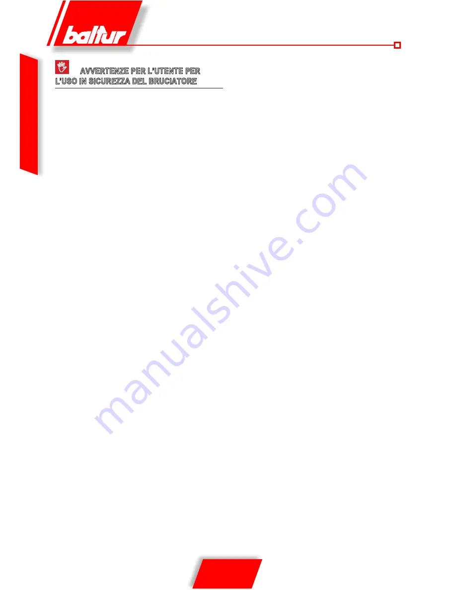 baltur GI 1000 DSPG Instructions For Use Manual Download Page 6