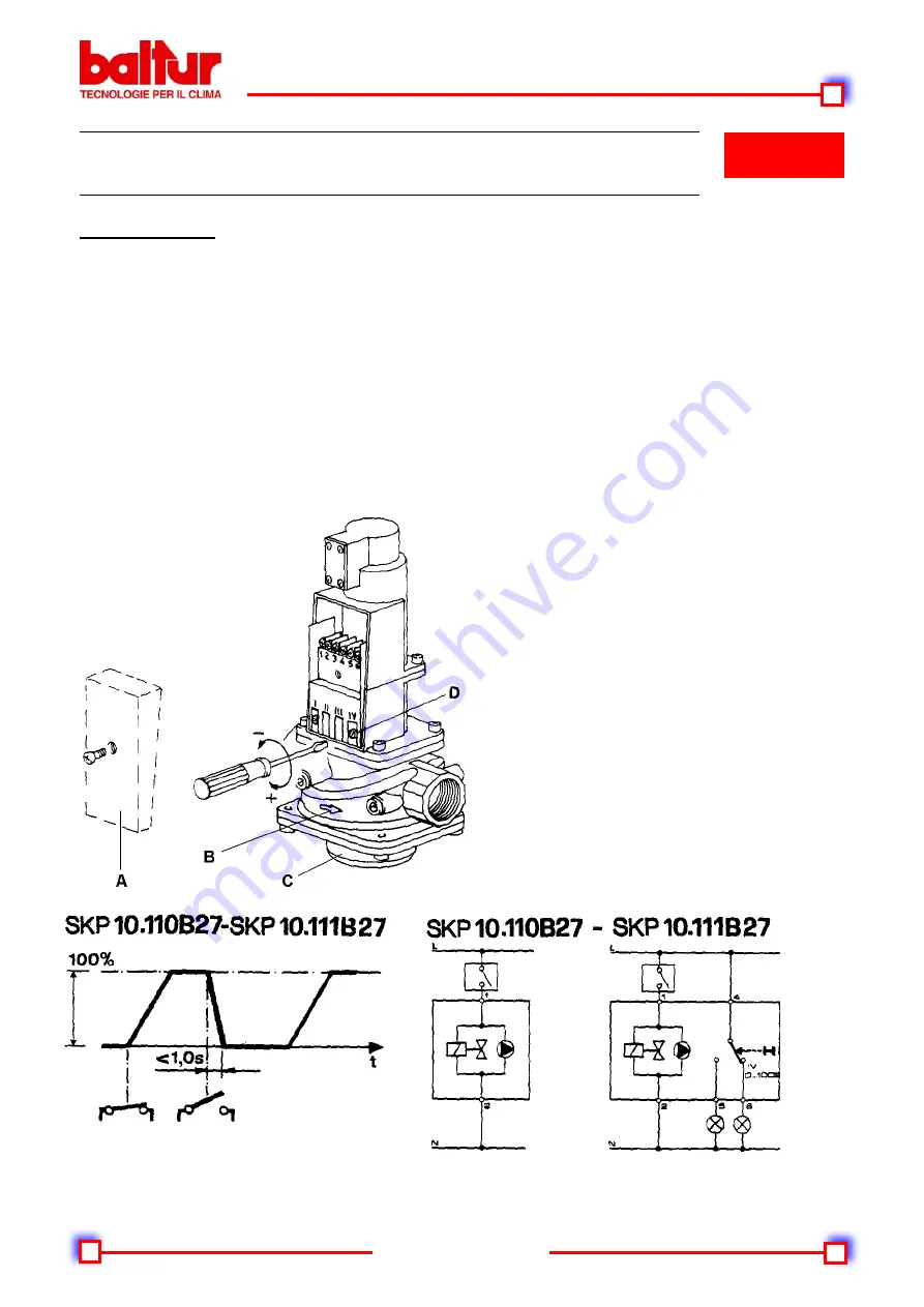 baltur GI 350 DSPGN Скачать руководство пользователя страница 29