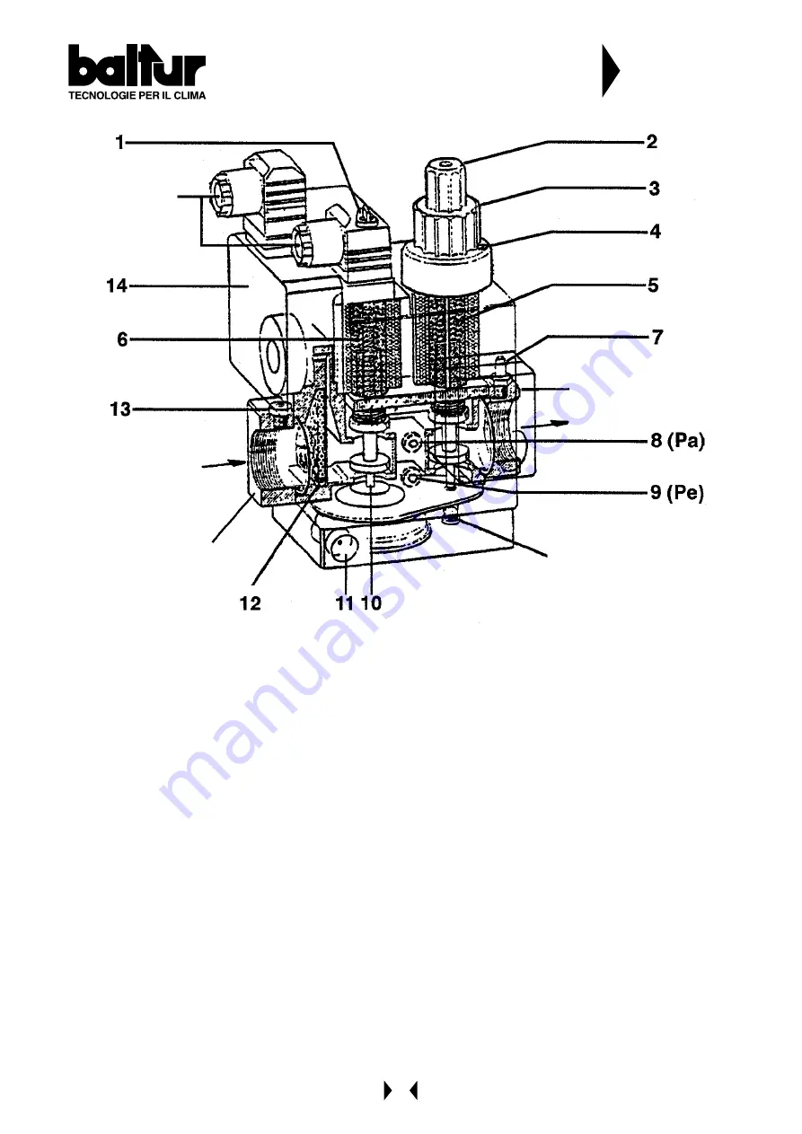 baltur SPARKGAS 20 - 20W Instruction Download Page 40