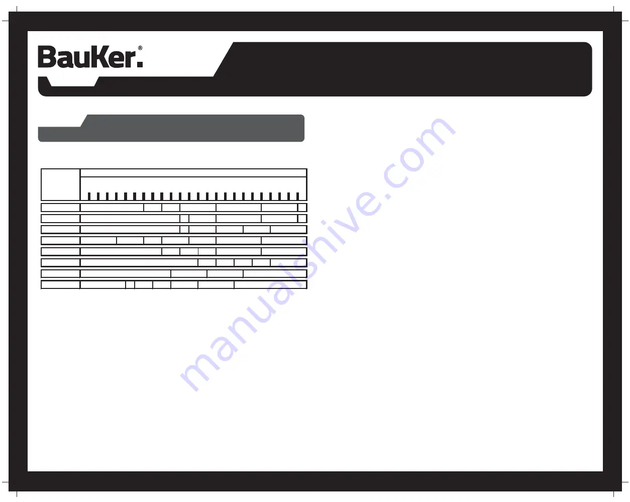 BAUKER YC-03 Instruction Manual Download Page 21