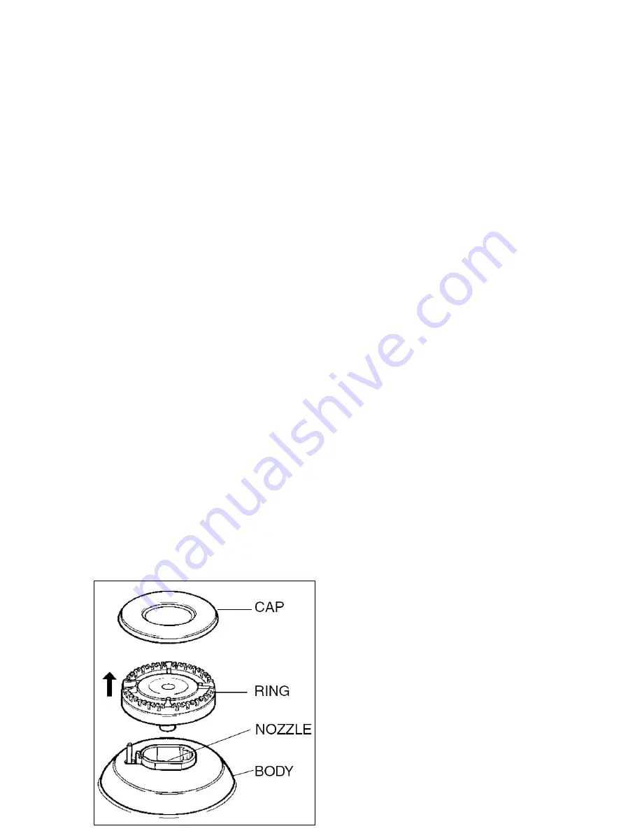 Baumatic BCG520BL Instruction Manual Download Page 21