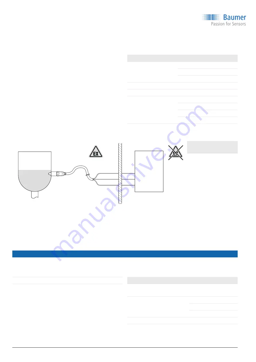 Baumer CleverLevel LBFS Series Скачать руководство пользователя страница 10