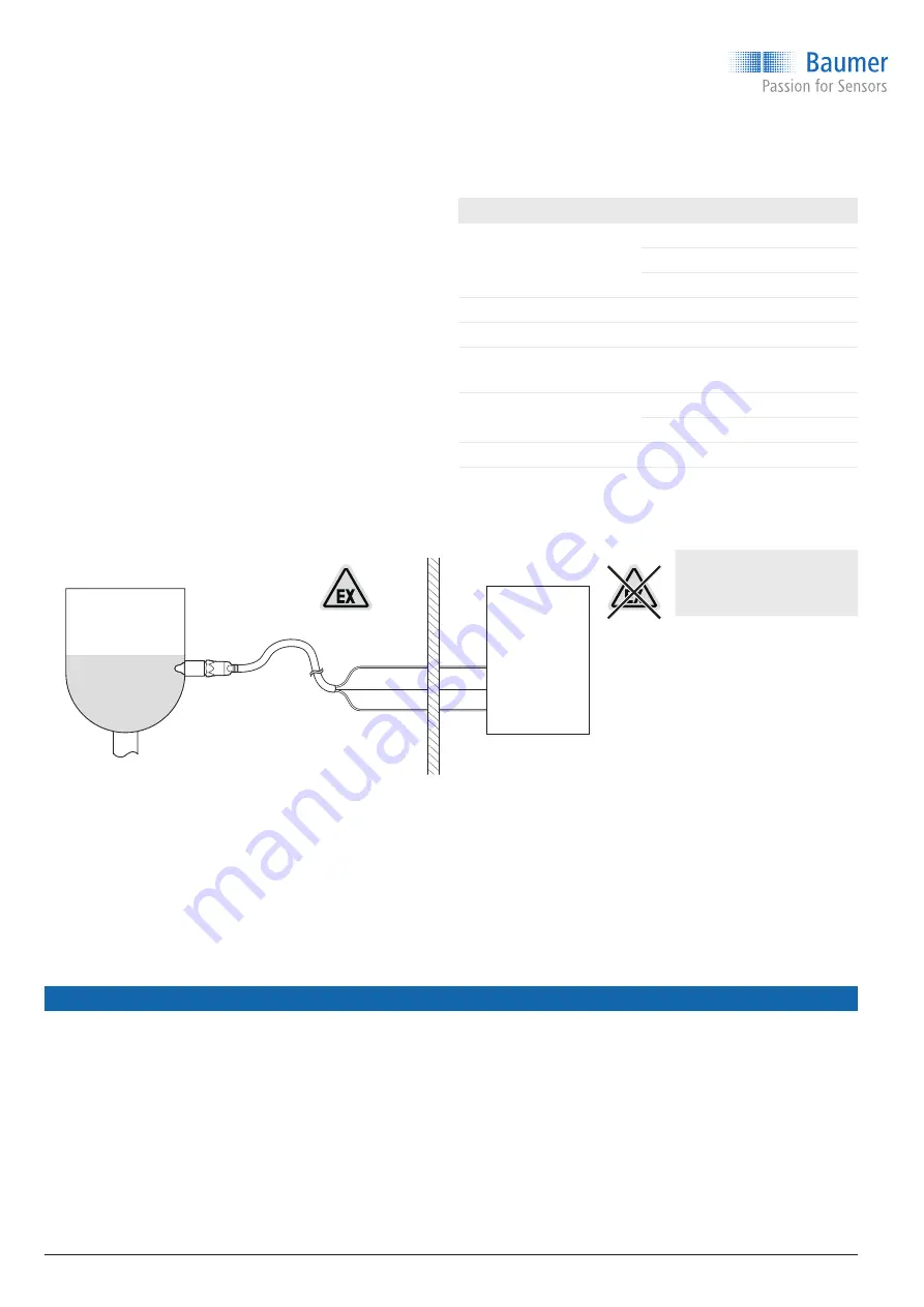 Baumer CleverLevel LBFS Series Скачать руководство пользователя страница 38